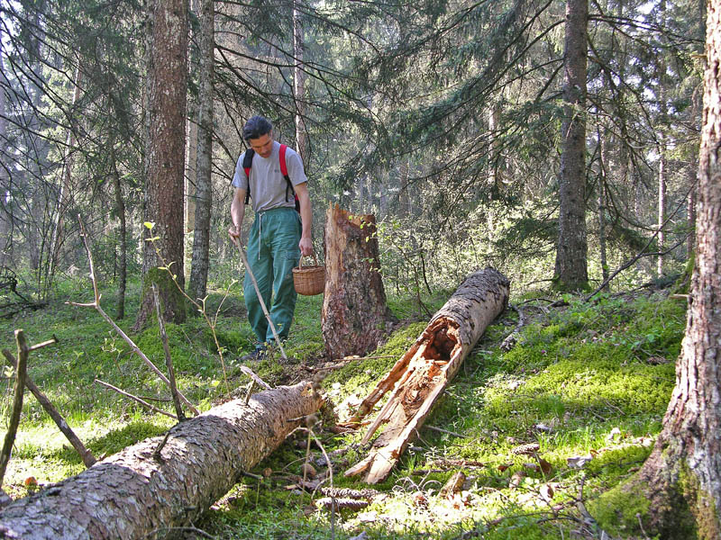 Ritrovamenti venerd� 20 aprile.
